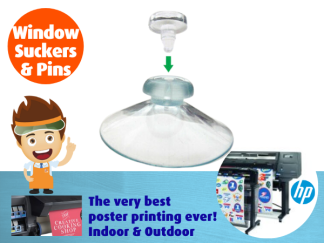 Window Suckers with Pins